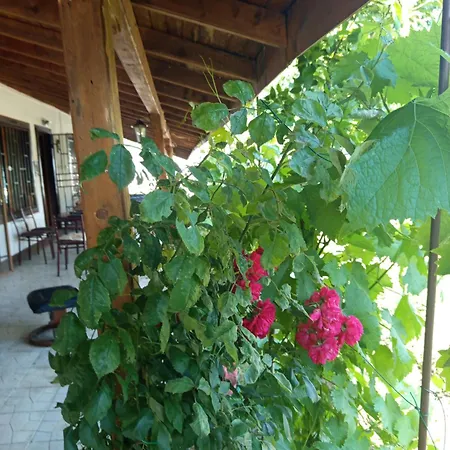 Veranda Raia поморие Kamenar (Burgas)