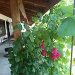 Veranda Raia поморие Kamenar (Burgas)