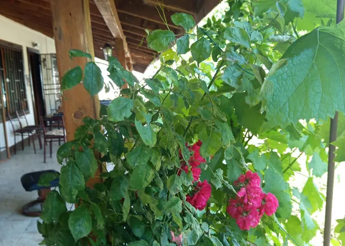 Veranda Raia поморие Kamenar